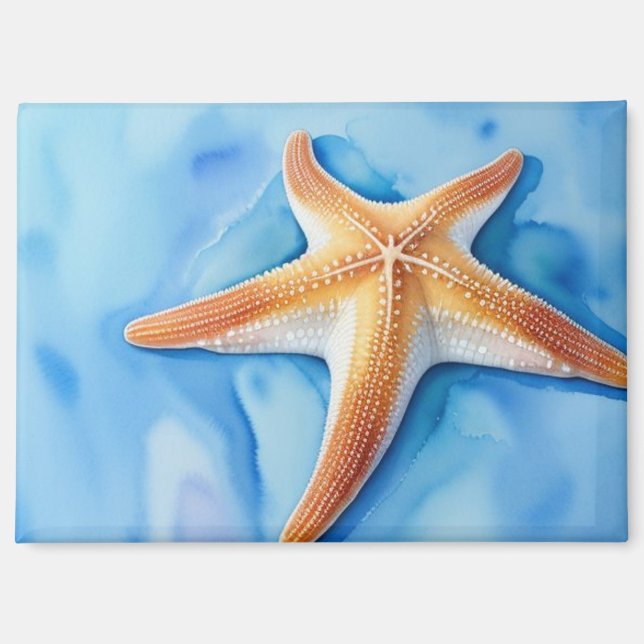 Watercolor Drawing of Starfish Magnet (Front)