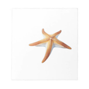 Watercolor Drawing of Starfish Notepad