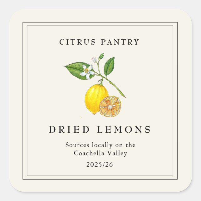Watercolor Dried Lemon slices  Square Sticker (Front)