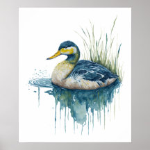 watercolor duck
