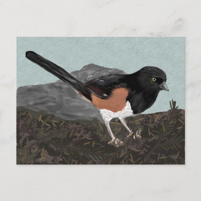 Watercolor Eastern Towhee Postcard (Front)