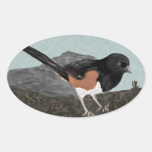 Watercolor Eastern Towhee Stickers