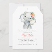 Watercolor elephant little girl birthday party