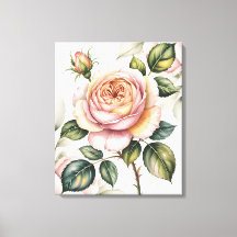 Watercolor english rose