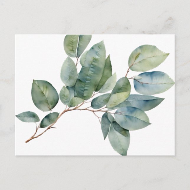 Watercolor eucalyptus greenery postcard (Front)