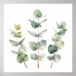 Watercolor Eucalyptus Leaves Botanical Poster