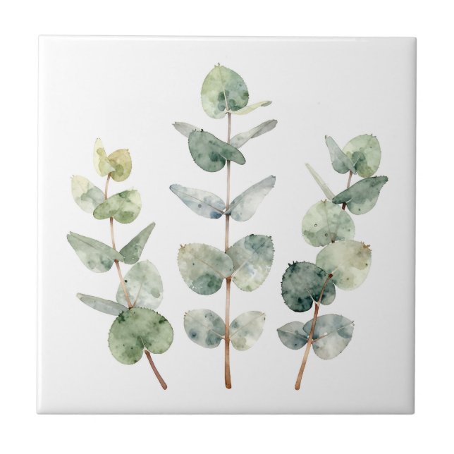 Watercolor Eucalyptus Leaves Botanical Tile (Front)