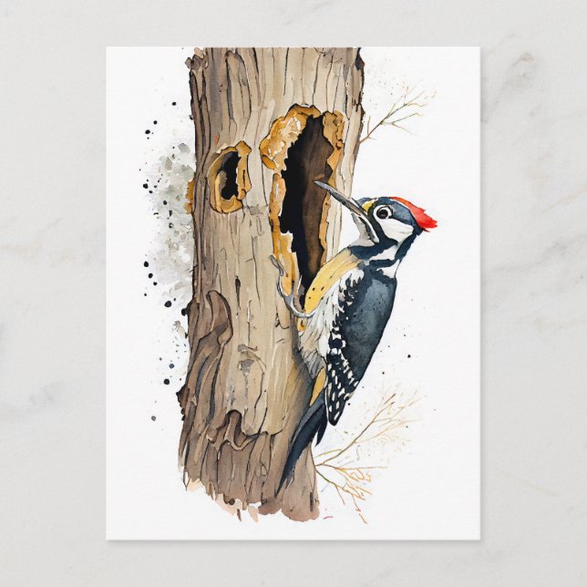 Watercolor Eurasian Treecreeper Searching for Inse Postcard (Front)