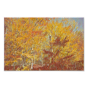 Watercolor Fall Foilage Photo Print