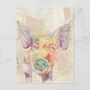 Watercolor Farm Collage Pig Postcard