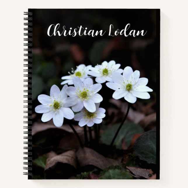 Watercolor Field Wildflowers notebook  (Front)