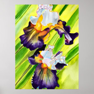 Watercolor floral iris flower poster