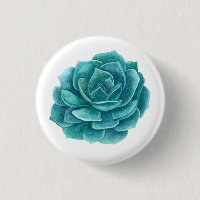 Watercolor floral succulent. Teal blue cactus