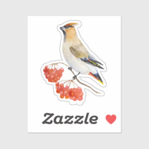 Watercolor forest bird waxwing