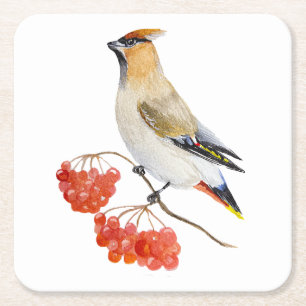 Watercolor forest bird waxwing round pillow square paper coaster