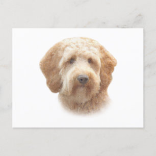 Watercolor Goldendoodle Postcard