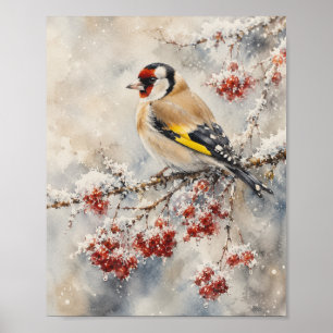"Watercolor Goldfinch Bird on Winter Berries Poster