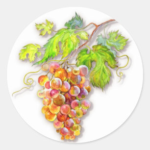 Watercolor Grapes & Green Leaves – Harvest Art Classic Round Sticker