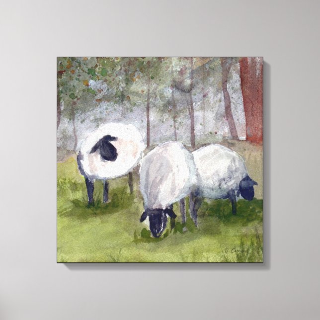 Watercolor Grazing Sheep Canvas Print (Front)