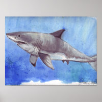 Watercolor Great White Shark