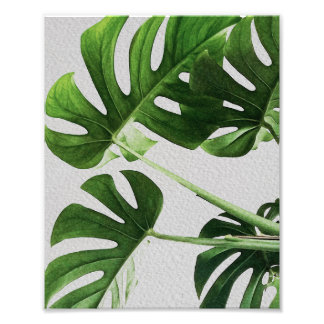 Watercolor Green Leaves Photo Print