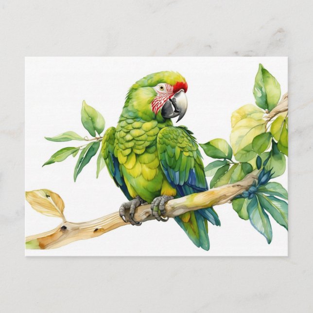 Watercolor Green Parrot on a Tree Branch  Postcard (Front)