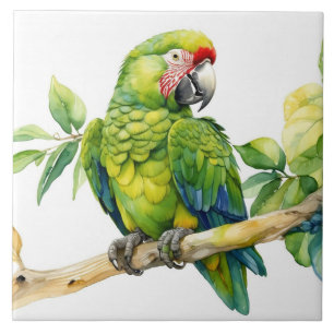 Watercolor Green Parrot on a Tree Branch Tile