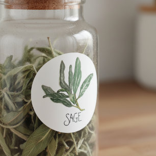 Watercolor Herb Sage Classic Round Sticker