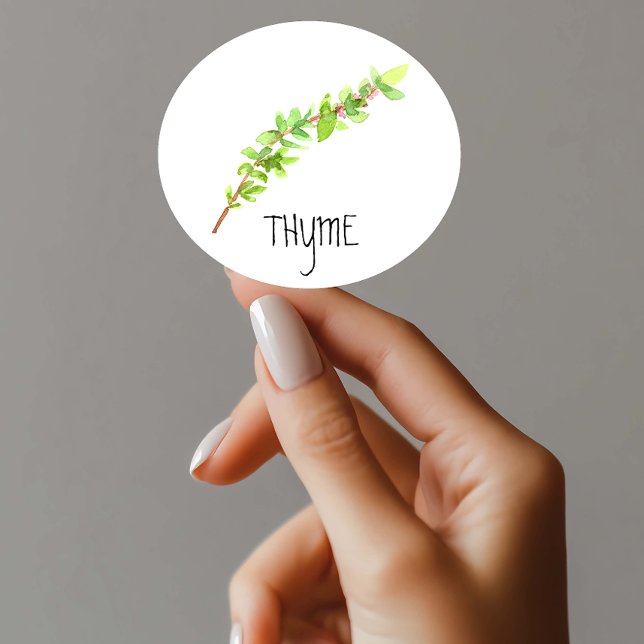 Watercolor Herb Thyme Classic Round Sticker (Creator Uploaded)