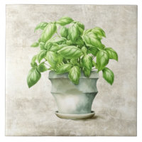 Watercolor Herbs Basil Rustic Faux Texture 