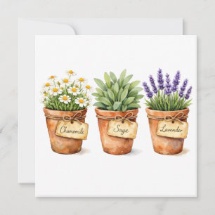 Watercolor Herbs Growing in the Pots  Card