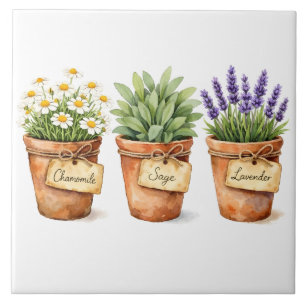 Watercolor Herbs Growing in the Pots  Tile