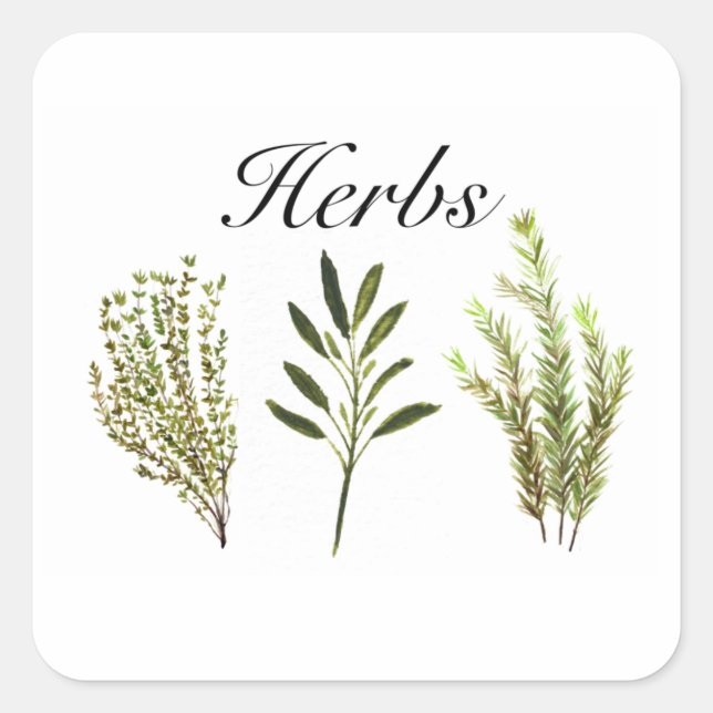 Watercolor Herbs Thyme Rosemary Sage Plants Pot Square Sticker (Front)
