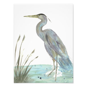 Watercolor Heron in the Marsh Photo Print