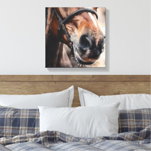 Watercolor Horse Muzzle Horse Girl Close Up Nose Canvas Print