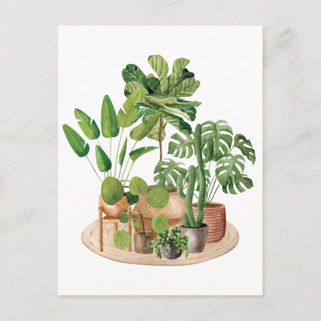 Watercolor Houseplants Postcard (Front)