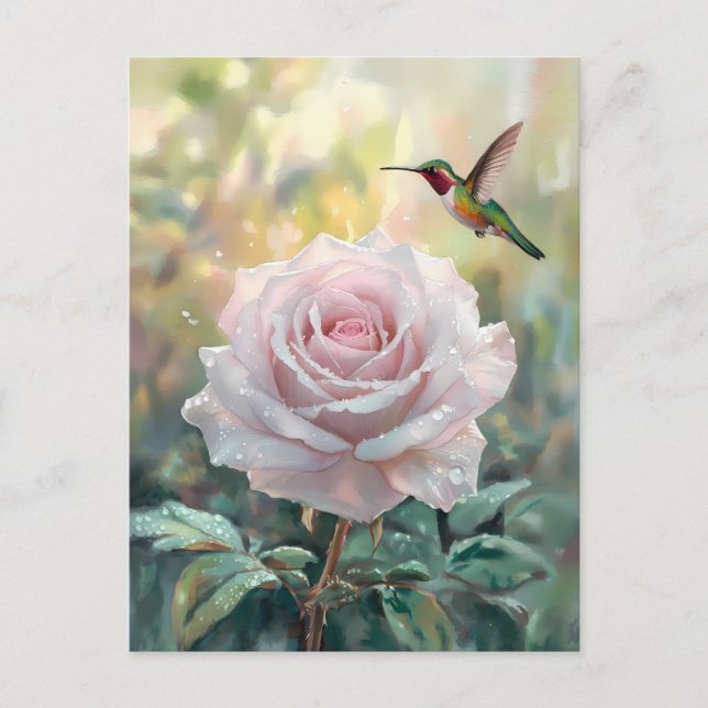 Watercolor Hummingbird and Pink Rose Postcard (Front)