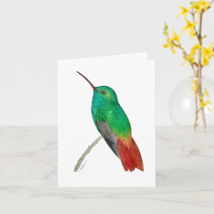Watercolor Hummingbird  Card