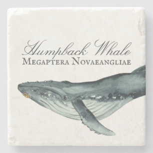 Watercolor Humpback Whale, Megaptera Novaeangliae Stone Coaster