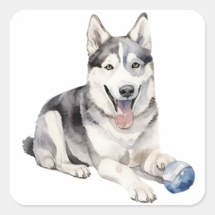 Watercolor Husky Dog Square Sticker