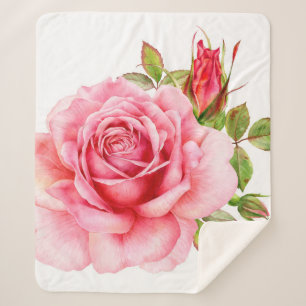 Watercolor illustration of a delicate pink rose wi sherpa blanket