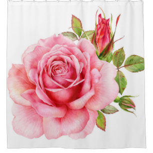 Watercolor illustration of a delicate pink rose wi shower curtain