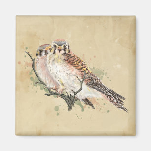Watercolor Kestrel Bird Birdwatching Art Magnet