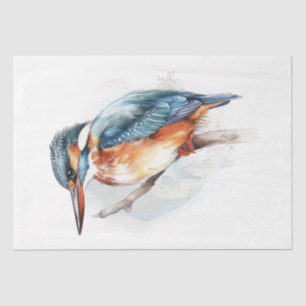 Watercolor Kingfisher Bird Tissue Paper