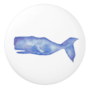 Watercolor knob whale by Charlotte Canzano