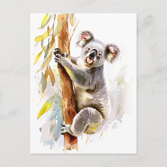 Watercolor Koala Climbing Eucalyptus Postcard (Front)