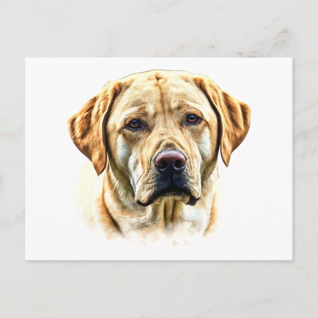 Watercolor Labrador Retriever  Postcard (Front)