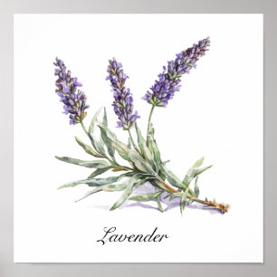 Watercolor Lavender Botanical Wellness Custom Poster
