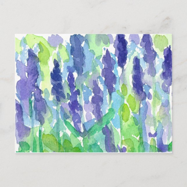 Watercolor Lavender Flowers Postcard (Front)