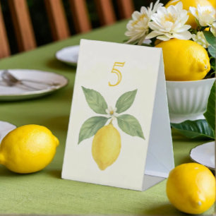 Watercolor Lemon Birthday Pedestal Sign